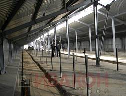 Телятник 2380 кв.м.